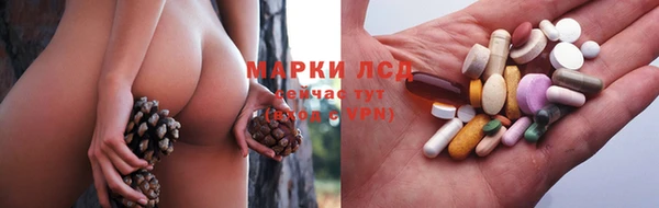 ГАЛЛЮЦИНОГЕННЫЕ ГРИБЫ Лихославль