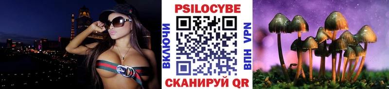 закладка  Горячеводский  Галлюциногенные грибы Magic Shrooms 